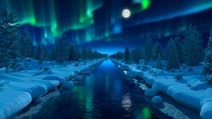 冬季雪地极光