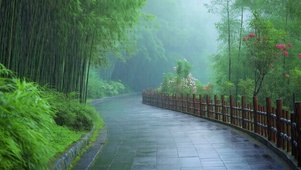 雨天护眼