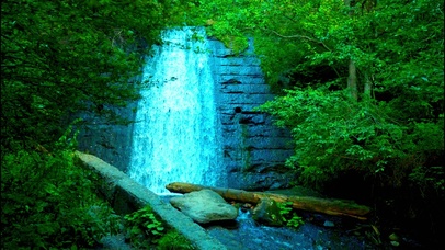 治愈山涧瀑布 4K