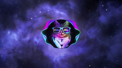 星空猫