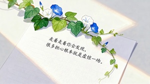 治愈励志清新牵牛花壁纸