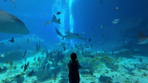 水族馆