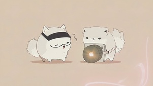 联系母星