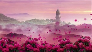 唯美映山红