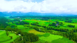 4K航拍草原