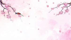 樱花喜鹊