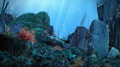 海底世界水泡泡