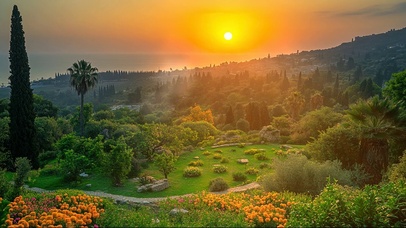 落日清新绿色海岛花园