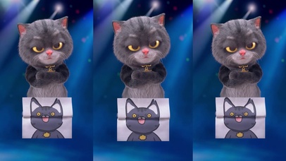 斑布猫-土拨鼠尖叫