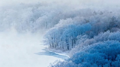 冰雪森林
