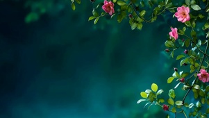 护眼小清新