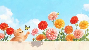 捕捉蝴蝶猫咪