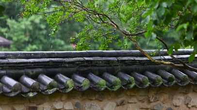 雨天绿树屋檐