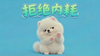 超萌博美|拒绝内耗|护眼蓝底