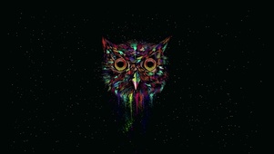酷炫猫头鹰