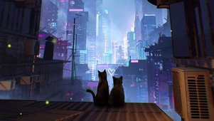 夜晚猫咪唯美爱情