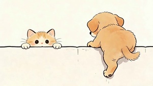 猫咪与萌宠狗