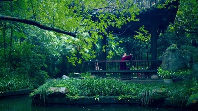 汉服小姐姐赏雨