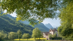 护眼绿景树木河流带鱼屏