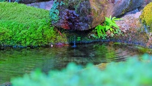 治愈泉水4K