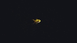 深海金色吉祥鱼