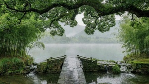 雨天小桥边