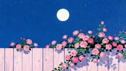 月夜 蔷薇