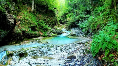 治愈山泉流水 4K