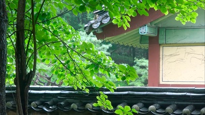 治愈静心院落雨