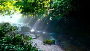 夏日清晨阳光雾气流水