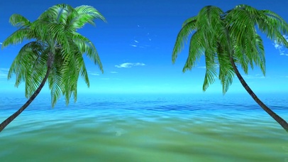 大海