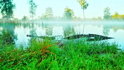 治愈护眼晨露4K