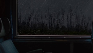 车窗外的雨
