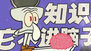知识不进脑子