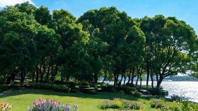 白云花草树木海景带鱼屏