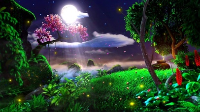 夜色美景