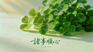 护眼治愈，诸事顺心