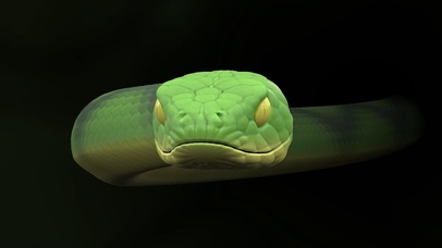 一条蛇3d 动物动态壁纸 动态壁纸下载 元气壁纸