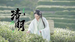 采茶姑娘