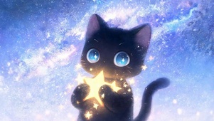 星空猫咪