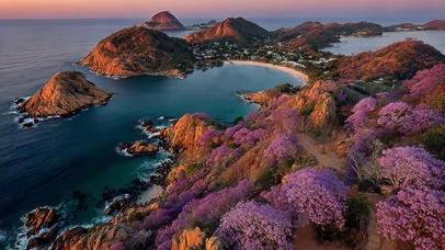 清新日出鲜花海湾