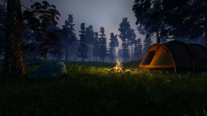 4K森林篝火露营