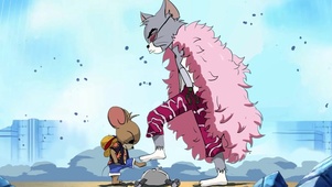猫鼠冲突