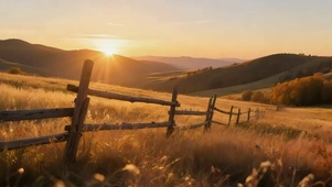 落日金黄草原