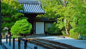 治愈庭院4K