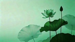 诗意之荷