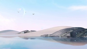 大海沙滩星空