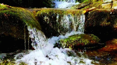 4K夏日清凉小溪