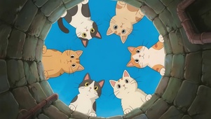 好奇小喵喵
