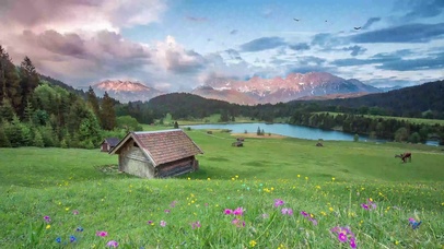 阿尔卑斯山之春